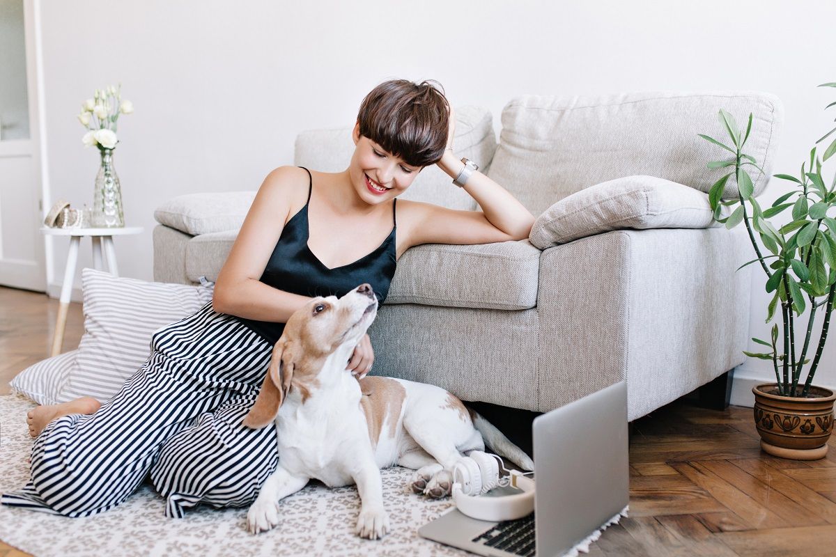 How to Keep Your Home Fresh When You Have Pets